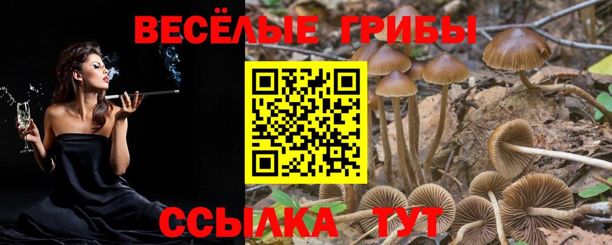 Качканар  Псилоцибиновые грибы мухоморы  Вход с VPN  Галлюциногенные грибы мицелий 